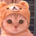 Kooki’s stripes