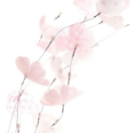 ‘Bouquet