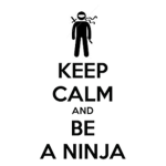 a ninja nation