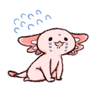 The Axolotl Group of Axolotl's