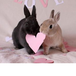 ^_^