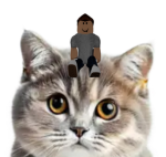 Mew’s Biggest Fantastic Cats