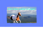 ~High Noon Riding Academy~