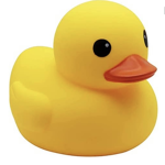 Ducks win