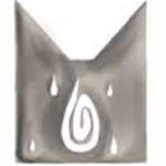 warriors Rainclan