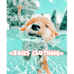 ~Zoies clothing~