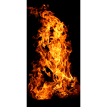 ~•Fire•~