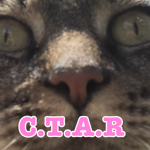 Cats triumph above rats!