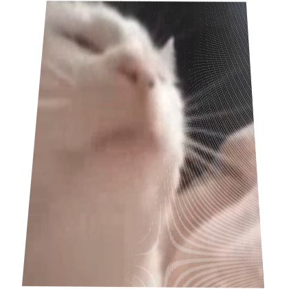 Animated Nodding Cat Cape