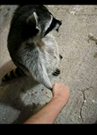 Group Thumbnail