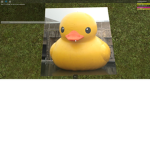 Ducky pond squad