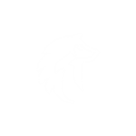 Inter Arts