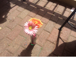 {~flowers for ever~}