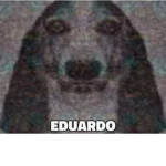 LOS JUANENETES