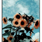 Glow_soft