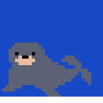 seal sanctuary:)