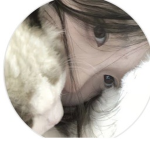 ari_ispreppy