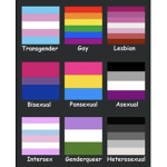 LGBTQ+ supporters....