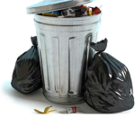 The Trash And The Gang