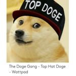 Doge army/Gang