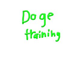 Doge Training