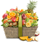 FruitBasketpants Gang