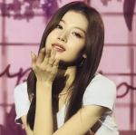 Sana is life