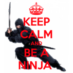 dark ninja academy
