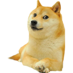 NickoliJesus