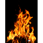Gods Of The Flames