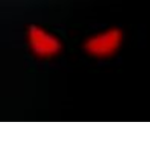 dark robIox group