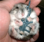 doogan hamster assasins