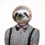 MR. LAZY SLOTH