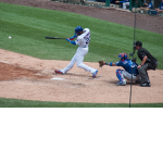 The_Cubs_Baseball