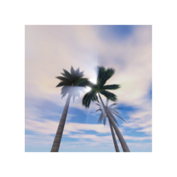 Just Beachy 🔊