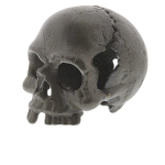 The skull savers