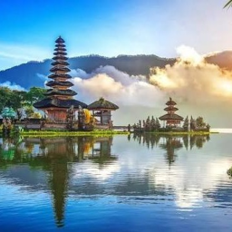 WISATA ALAM FREE