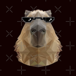 Cool Capybara's