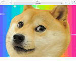 Join the DOGE group