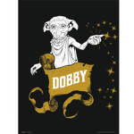 Dobby's Socks