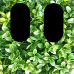 qwertyuiopazml