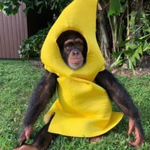 MonkyLand