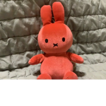 MIffy gang