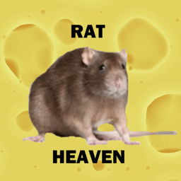 Rat Heaven!