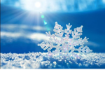 She Sank Into The Snow