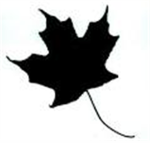 BlackMaple