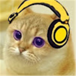 D.O.R - Designers of Roblox