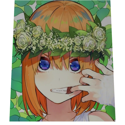Yotsuba Nakano Cape
