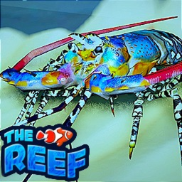 Previous icon game thumbnail