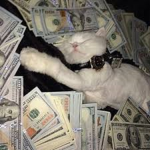 $V o i d$